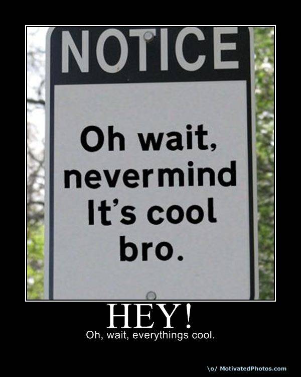 it's cool bro.jpg