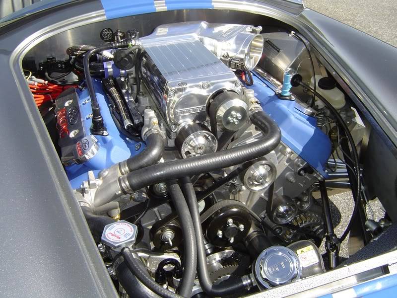 LatestCobra4.jpg