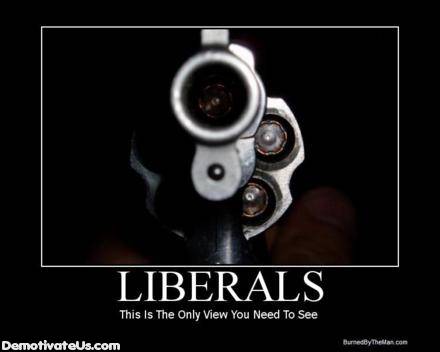 liberals-gun-moral-poster-liberal-demotivational-poster-view.jpg