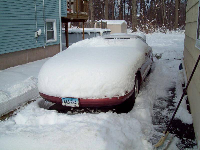 LIN SNO.jpg
