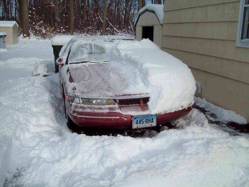 LINSNO 2.jpg