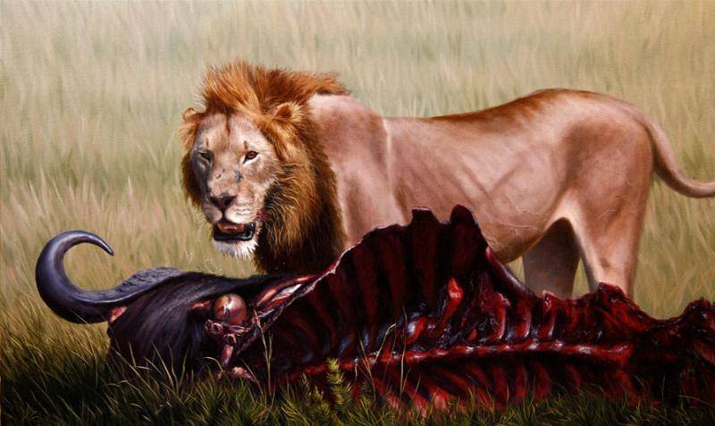 lion1.jpg