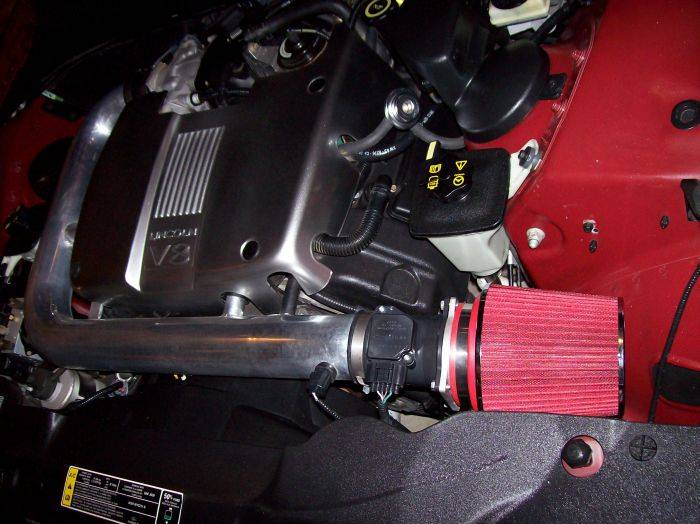 LS 17.jpg