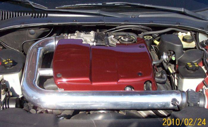 LS%20229.jpg