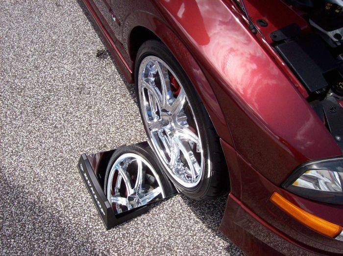 LS 24.jpg