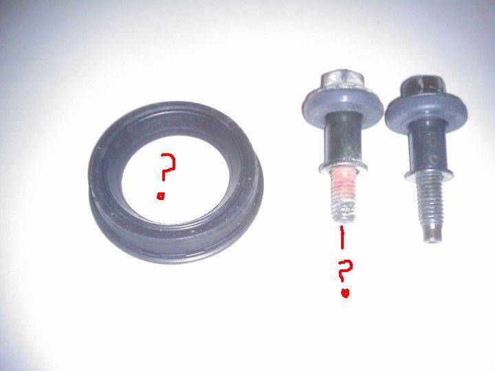 ls coil resized 3.JPG