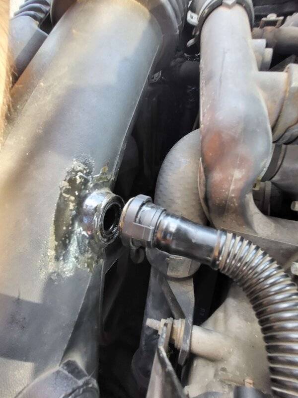 LS Hose.jpg