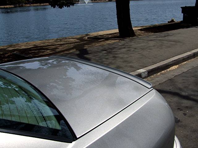 LS Lip 10003.JPG