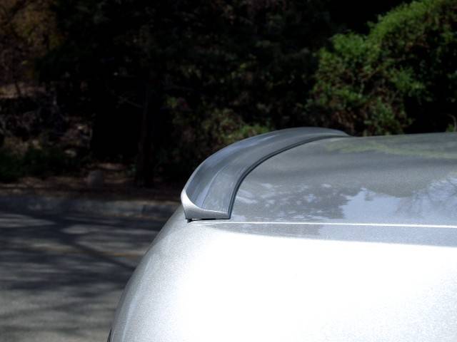 LS Lip 10006.JPG