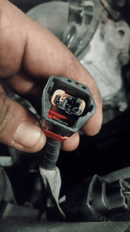 LS plug 1.png