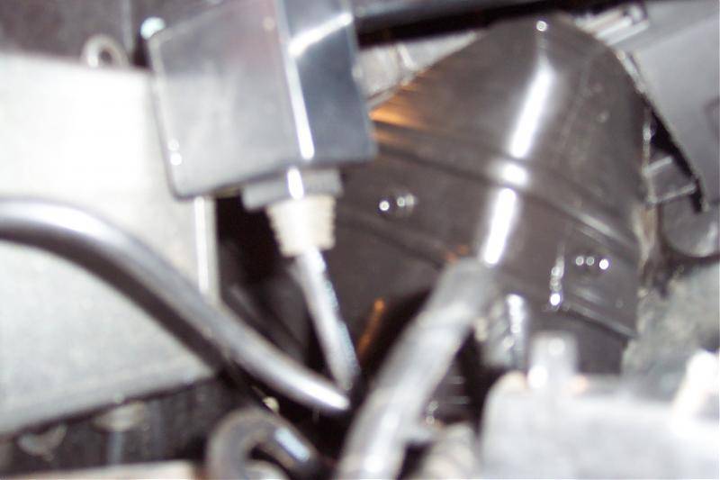 LS project 014.jpg