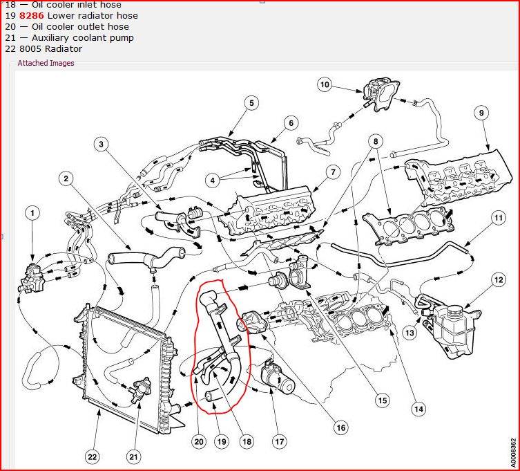LS Radiator hose diagram.JPG