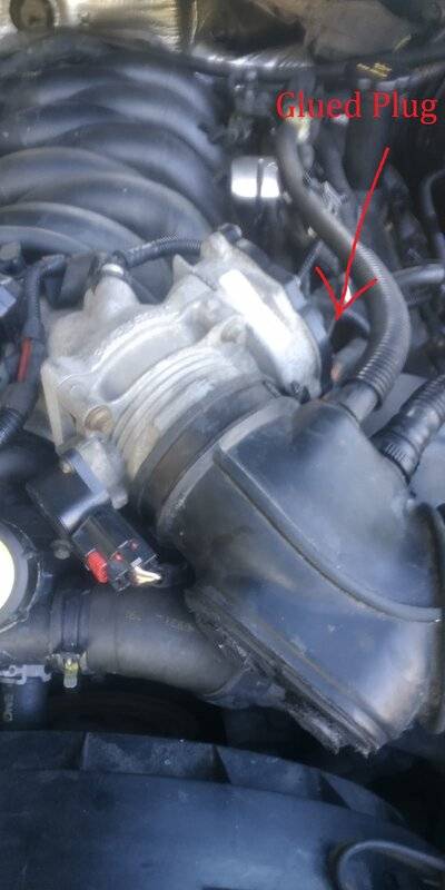 LS throttle body 4.jpeg