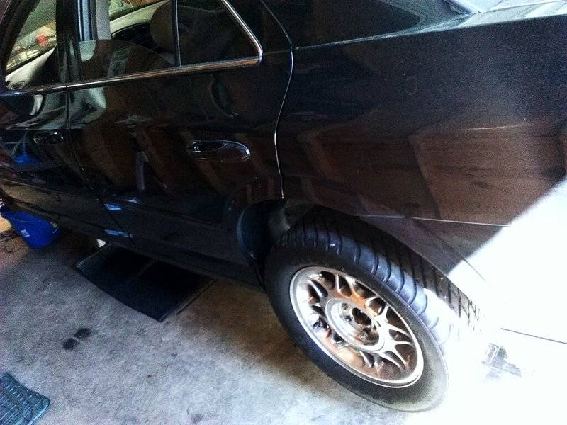 LS1.jpg