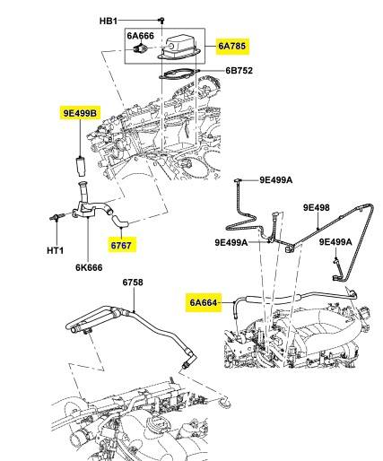 ls3.jpg