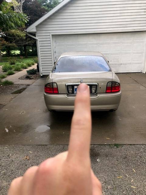 LS3.jpg