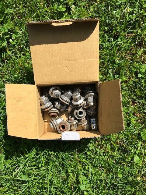 lugs.jpg