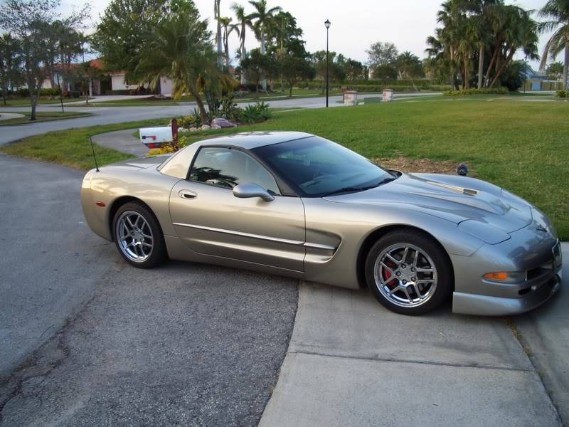 marcovette1.jpg