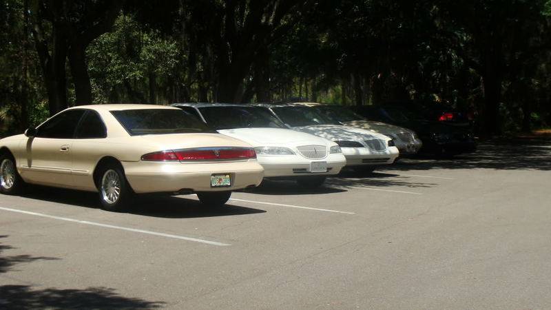markVIIImeet2010003.jpg