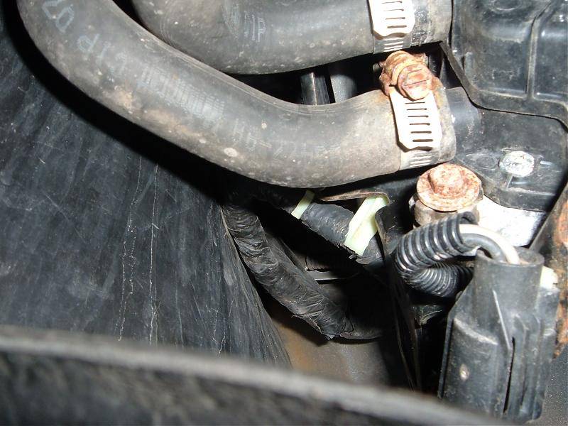 may 10th 2009 200.jpg