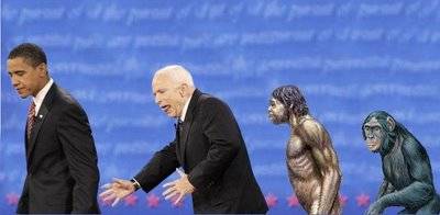 mccain-devolution.jpg