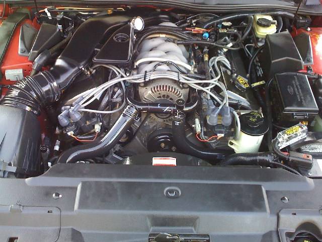 mini-Picture 065.jpg