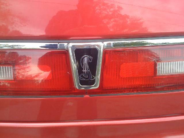 mini-Picture 067.jpg