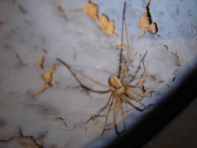 misc 023.jpg