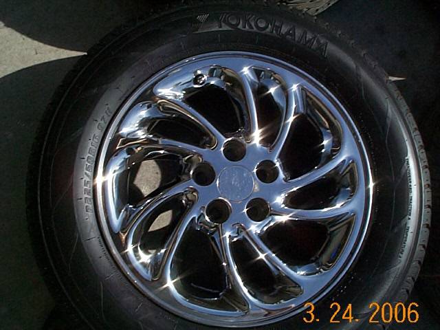 misc pics 033.jpg