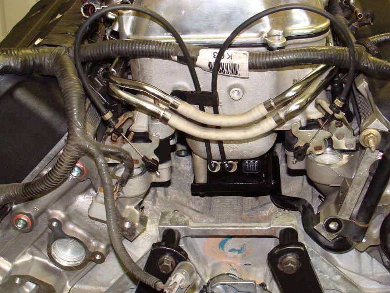 mlschultz cobra imrc pic.JPG