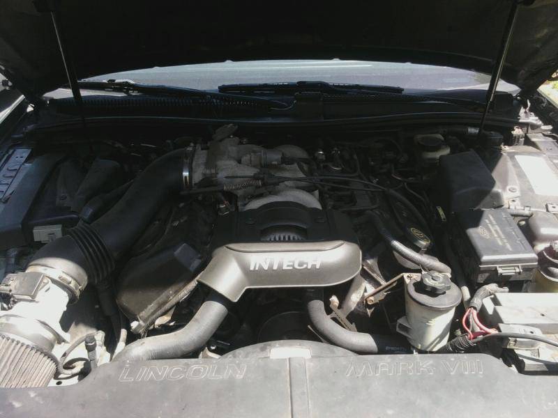 mms_picture (1).jpg