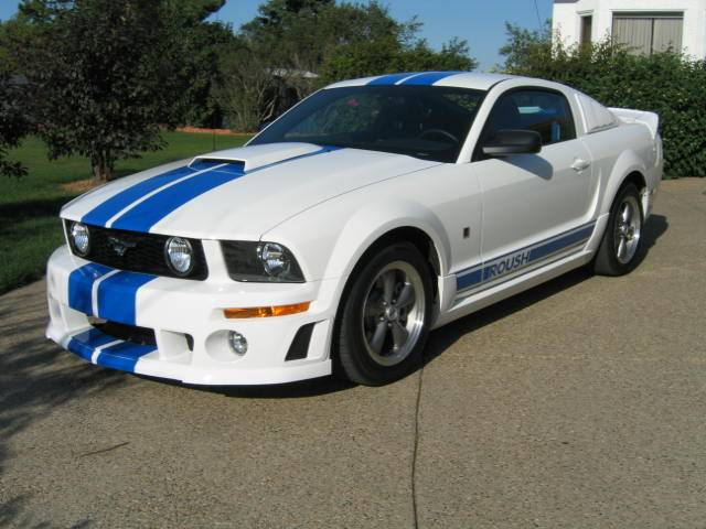 mustaNG 011.jpg