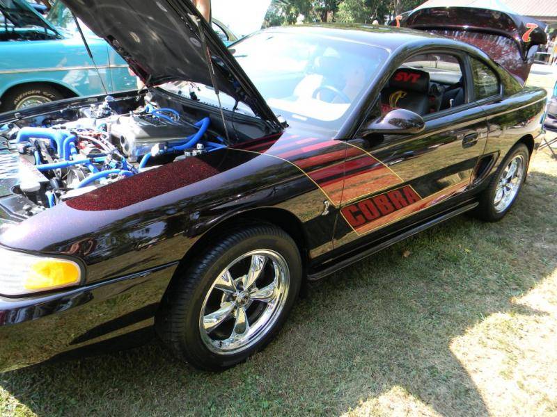 Mustang (2).jpg