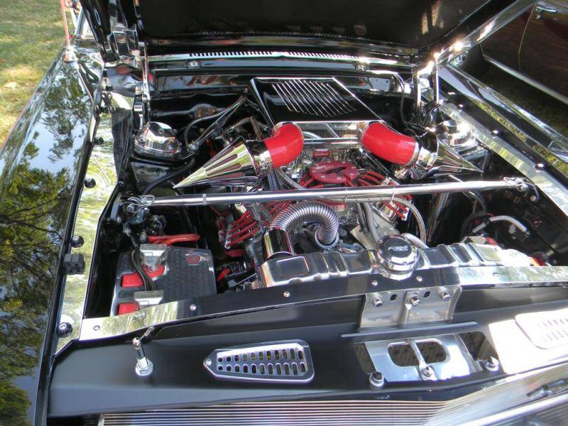 Mustang (8).jpg