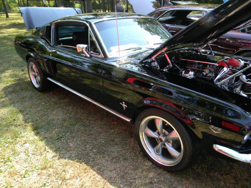 Mustang (9).jpg