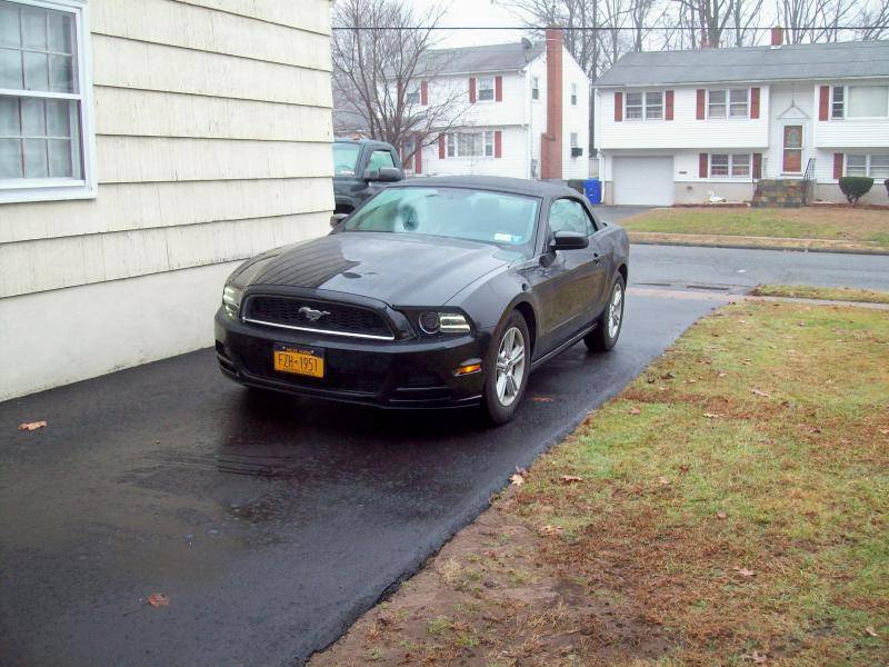 Mustang.jpg