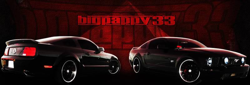 Mustang_banner.jpg