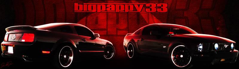 Mustang_banner2.jpg