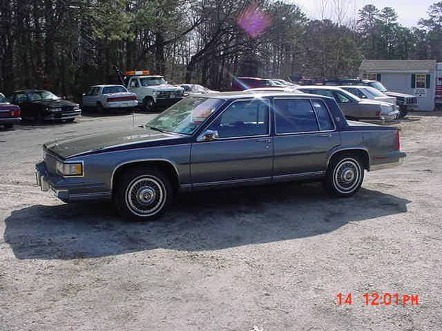 Mvc-014s.jpg