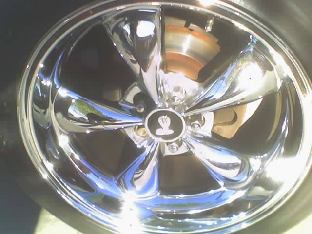 my rims.jpg