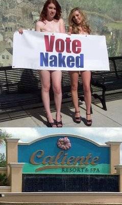 naked_vote.jpg