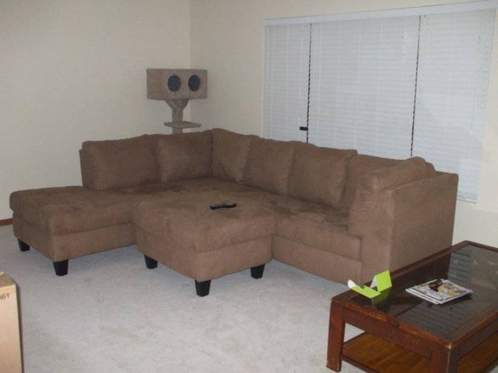 new house 04.jpg