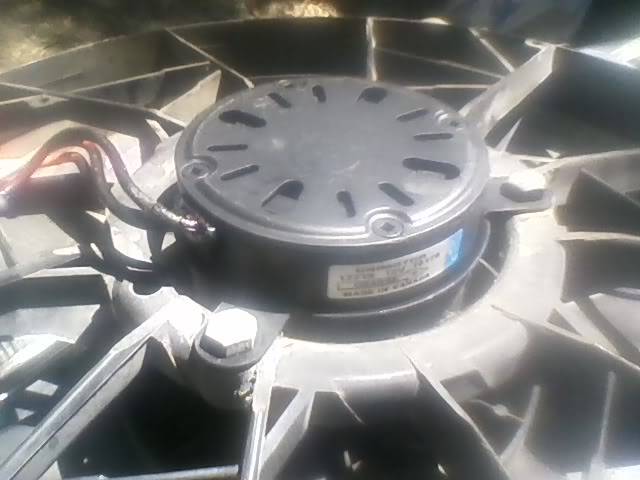 NewFan1of2.jpg