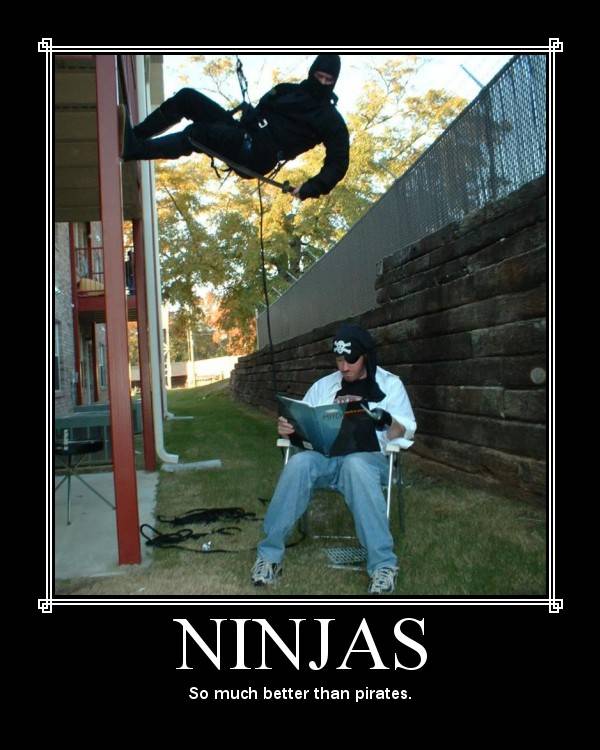 ninja vs pirate.jpg