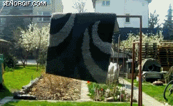 ninjarug1.gif