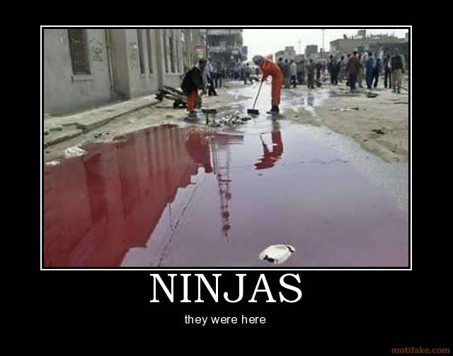 ninjas.jpg
