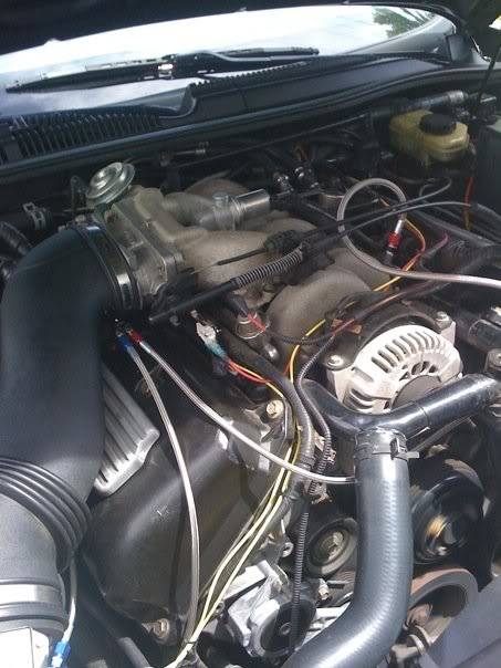 nitrous4.jpg