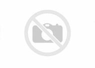 no_image.png