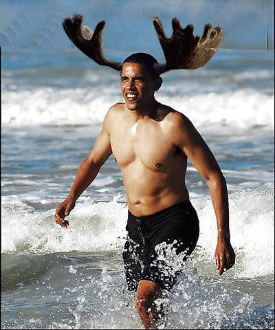 obamamoose.jpg