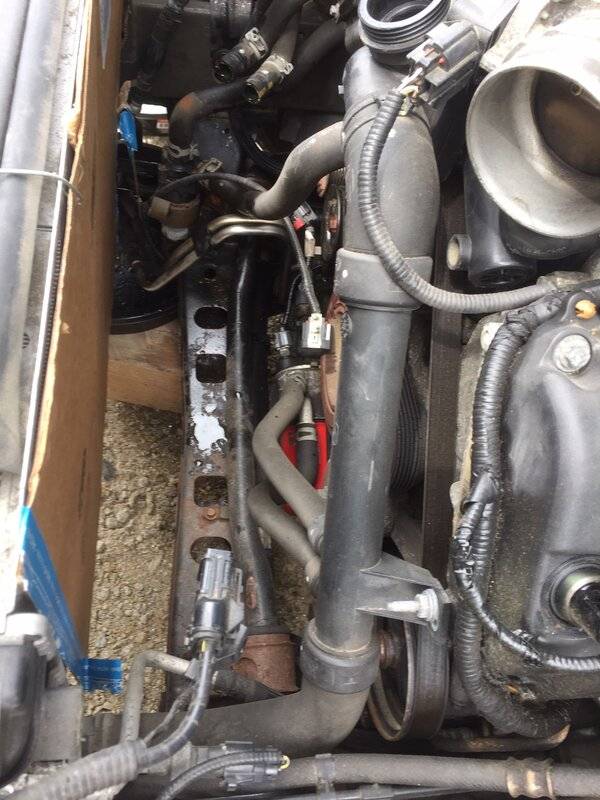 Old Lower Rad Hose.JPG